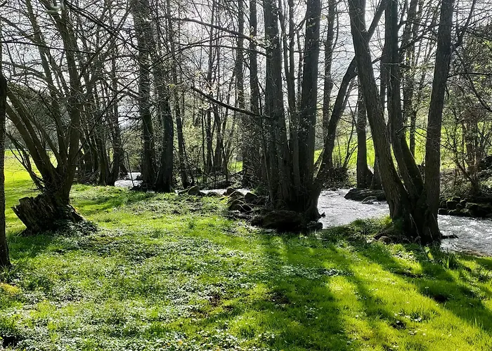 Wind in den Weiden, Übernachten am Bachlauf